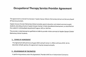 OT Provider Contract | Hayden Canyon Charter