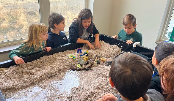 Student-led science fairs