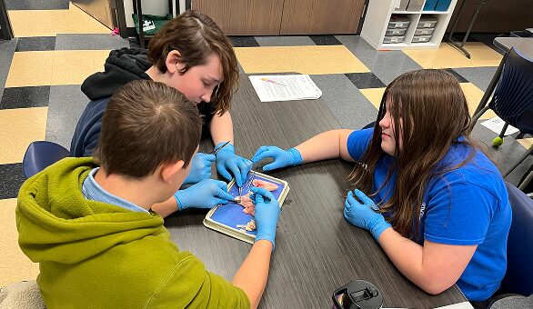 Public exhibitions of student work